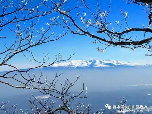 定向音箱，让声音像激光一样发射