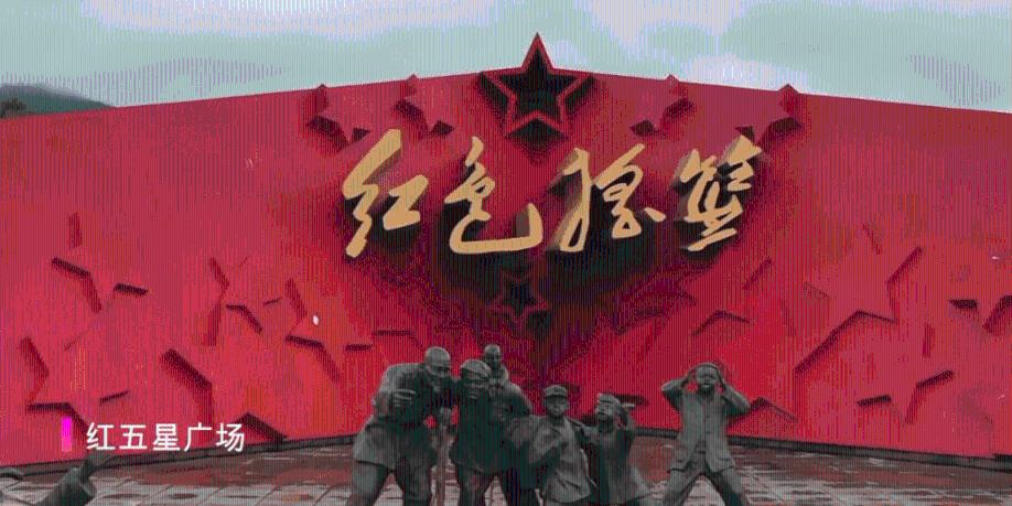 失忆的流浪者